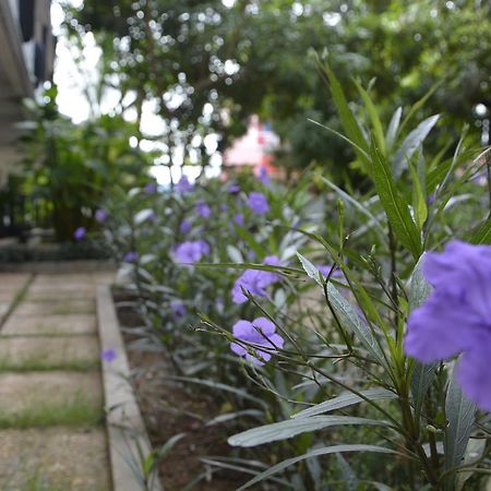 فندق Bamboo Garden Boutique سيام ريب المظهر الخارجي الصورة